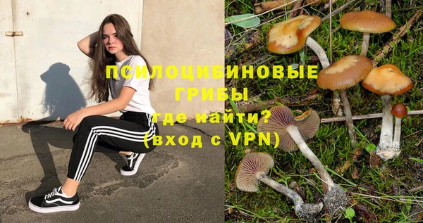 тгк Алзамай