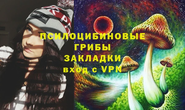 тгк Алзамай