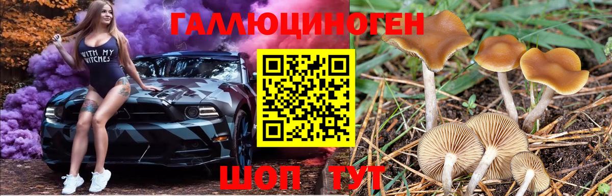Туймазы  Псилоцибиновые грибы Psilocybe  закладка  Вход с VPN 